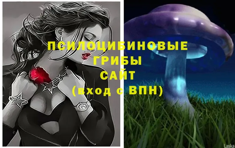 Галлюциногенные грибы Psilocybe  Арамиль 